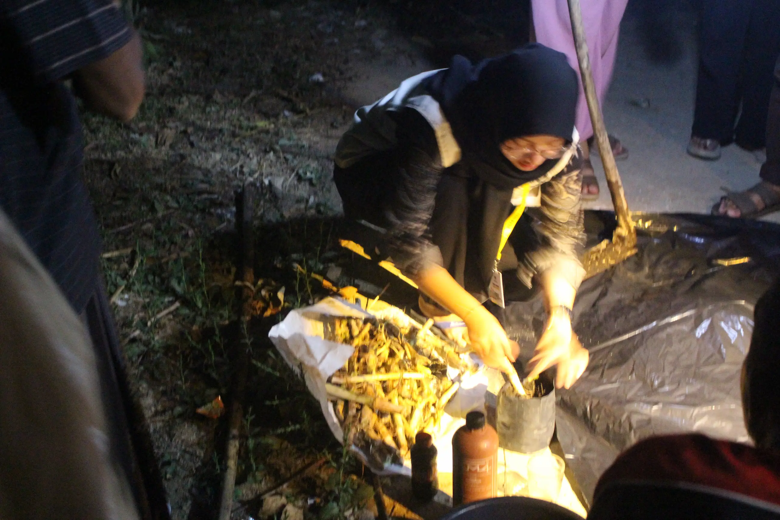 Tim KKN-PPM UGM Dorong Kemandirian Pakan Ternak melalui Sosialisasi dan Penanaman Rumput Gama Umami
